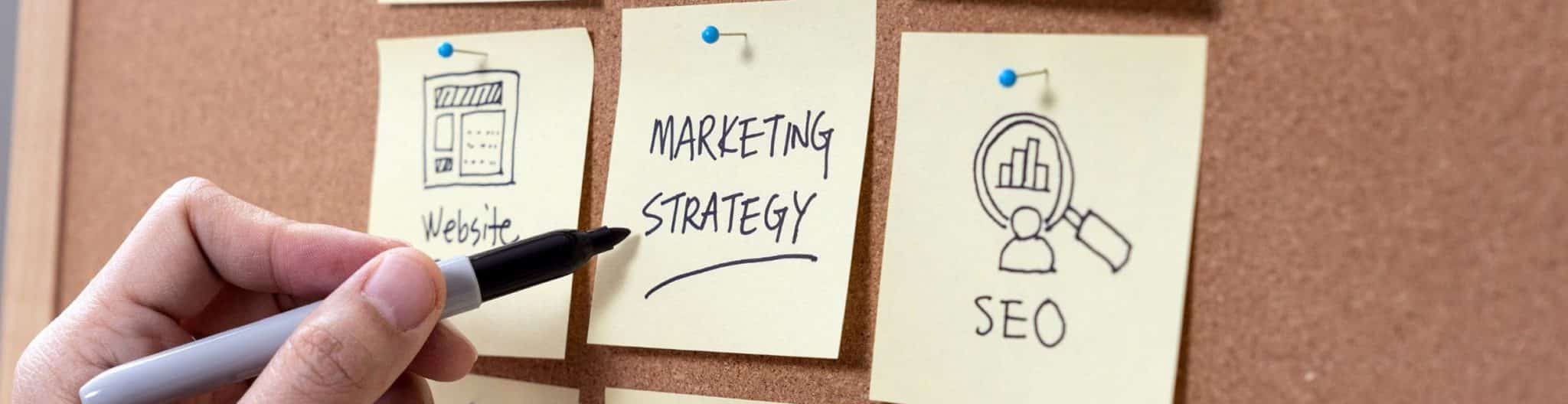 A business owner selecting digital marketing strategies for a healthcare website.